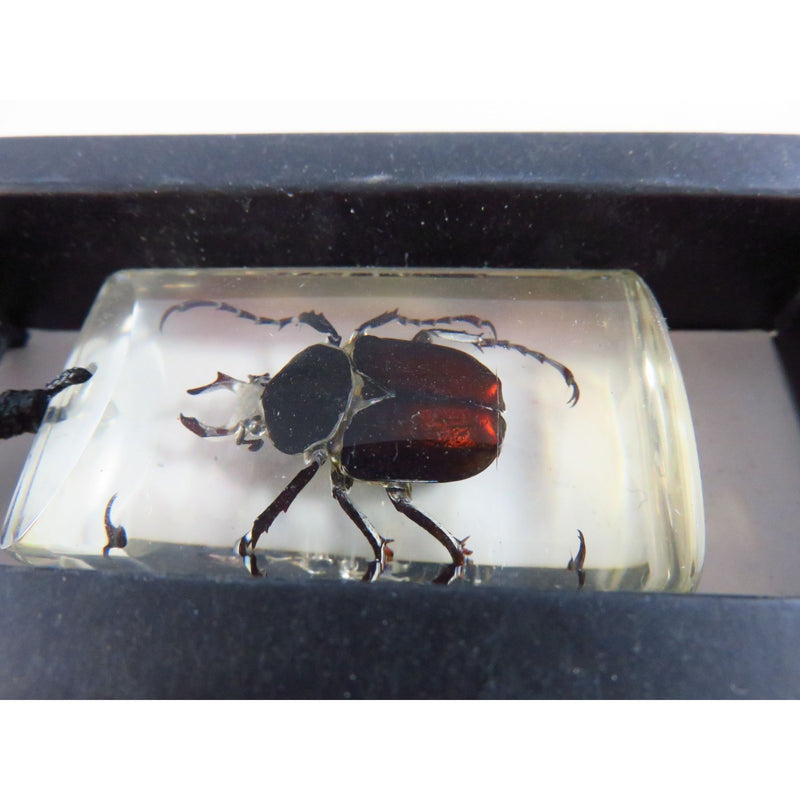 Antler Horned Beetle Pendant In Resin With Black Cord Necklace