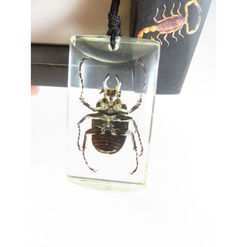 Antler Horned Beetle Pendant In Resin With Black Cord Necklace