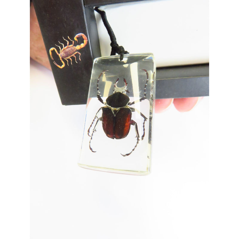 Antler Horned Beetle Pendant In Resin With Black Cord Necklace