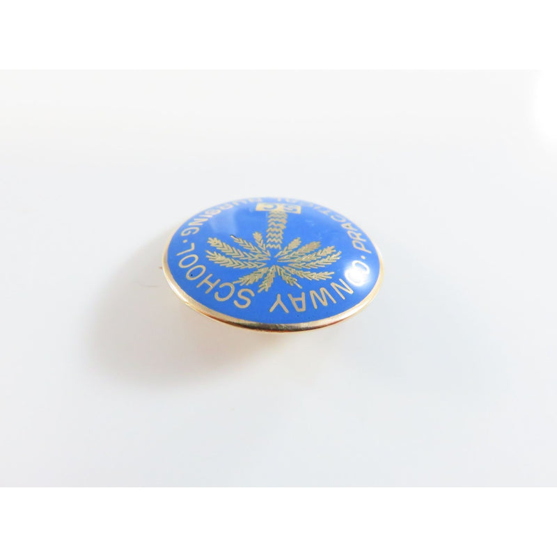 1965 Conway School Practical Nursing Pin Herff Jones 10K Gold Blue Enamel