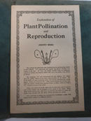 The Law of Hybridizing Discovered By Richard Diener With Special Insert 1920 1st Edition product image for Just Stuff I Sell, clear front view, neutral background, original listing photo, optimized descriptive alt text, centered composition variant 2