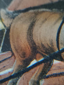 No time to lose Ma'am! Here's the other Coach close behind Color The Roadster Album 1845 product image for Just Stuff I Sell, clear front view, neutral background, original listing photo, optimized descriptive alt text, centered composition variant 3