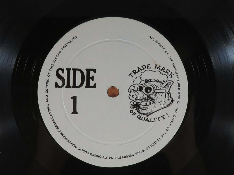 Cat Stevens Father & Son 1976 Repress Trade Mark of Quality 1809 Vinyl Album