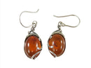 Vintage Sterling & Baltic Amber Dangling Earring French Wire Sterling Silver Pierced Ears — Jewelry & Watches:Vintage & Antiq