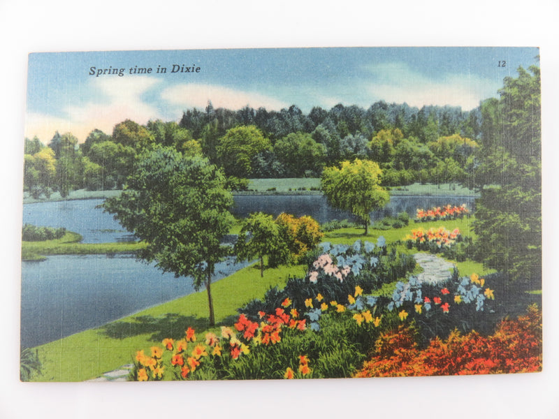 Springtime in Dixie Scenic Image 84287 Tichnor Bros. Inc Unused Linen Postcard