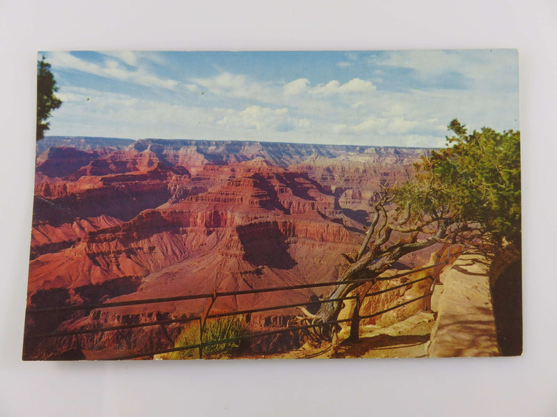 Hopi Point Grand Canyon National Park Arizona Circa 1960s Petley Unused Postcard