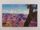 C9962 Fred Harvey Restaurants Grand Canyon National Park AZ Circa 1960s Unused P product image for Just Stuff I Sell, clear front view, neutral background, original listing photo, optimized descriptive alt text, centered composition