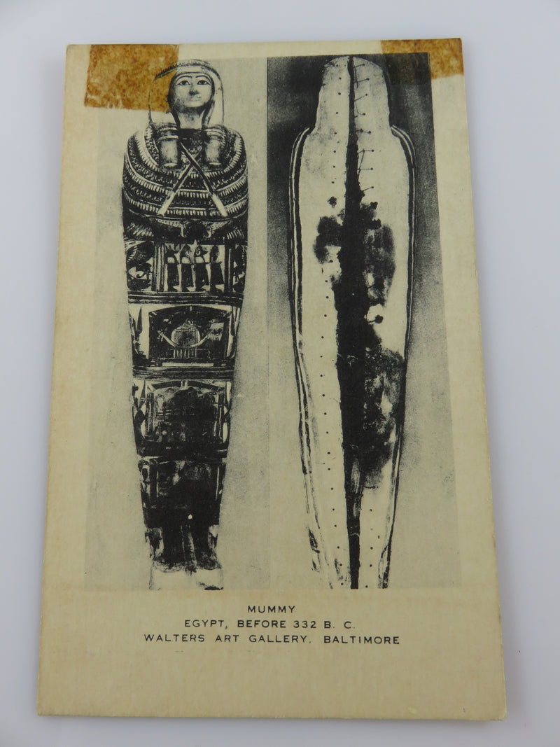 Mummy Egypt 332BC Walters Art Gallery Baltimore Artvue Post Card Unused Postcard