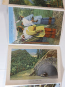 Souvenir of Great Smoky Mountains National Park Circa 1940's Linen Postcard Fold product image for Just Stuff I Sell, clear front view, neutral background, original listing photo, optimized descriptive alt text, centered composition variant 5