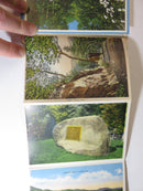 Souvenir of Great Smoky Mountains National Park Circa 1940's Linen Postcard Fold product image for Just Stuff I Sell, clear front view, neutral background, original listing photo, optimized descriptive alt text, centered composition variant 8