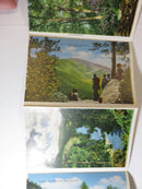 Souvenir of Great Smoky Mountains National Park Circa 1940's Linen Postcard Fold product image for Just Stuff I Sell, clear front view, neutral background, original listing photo, optimized descriptive alt text, centered composition variant 11