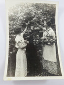 Mrs. Lloyd Oliver Mrs. O. L. Holland American Beauties Circa 1940 Vintage Photog product image for Just Stuff I Sell, clear front view, neutral background, original listing photo, optimized descriptive alt text, centered composition