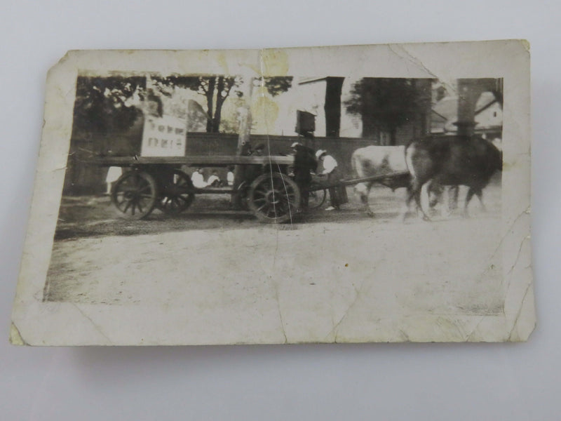 1920 Parade Float Oxen Wagon Brantford Ontario Canada Black & White Photograph 4
