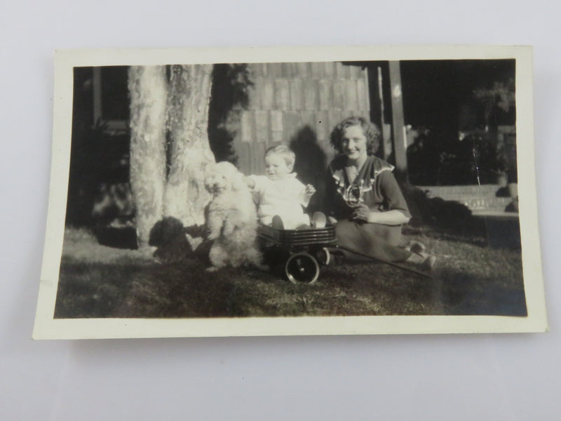 Woman Baby & Dog in Pose 1935 LA Calif Black & White Photograph 4  5/8" x 2 3/4"