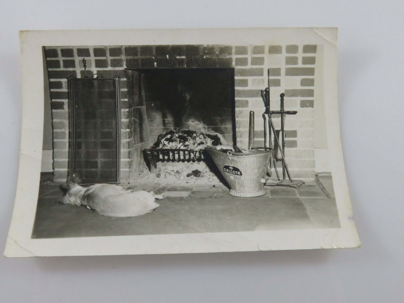 Dog Fireplace & A Galcote Coal Scuttle Bucket Black & White Photograph 4  1/4" x
