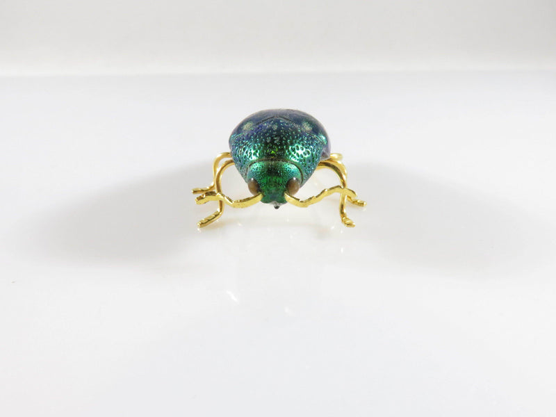 Genuine Iridescent Scarab Beetle Brooch Pin in Gilt Setting Lovely Egyptian Themed - Just Stuff I Sell
