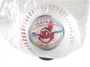 2001 Cleveland Indians Central Division Champs American League Baseball — front view