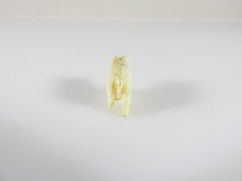 Antique Miniature Finely Carved Bone Pig Asian Okimono Figure 5/8" x 7/16" - Just Stuff I Sell