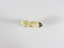 Antique English Foxhound Dog Hand Carved Bone Okimono 1" x 3/4" - Just Stuff I Sell
