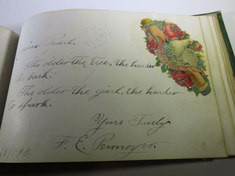 Circa 1887 Victorian Era Autograph Book Brooklyn Auburn New York - Just Stuff I Sell
