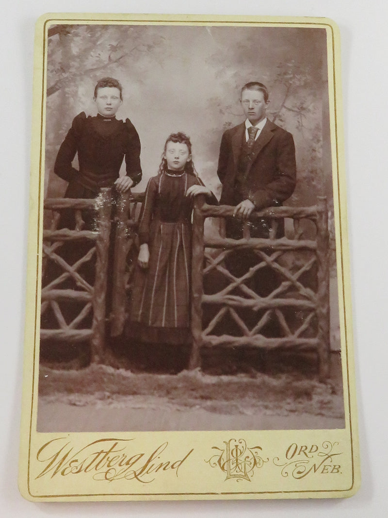 Antique Cabinet Card 3 Named Siblings in Pose Westberg Lind Ord Nebraska c1890