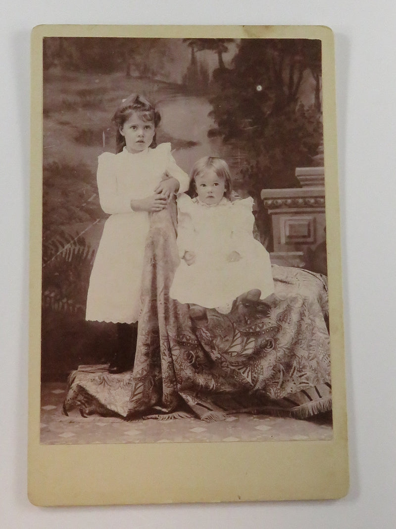 Antique Cabinet Card Two Pretty Little Girls In Pose with Creek Backdrop c1880