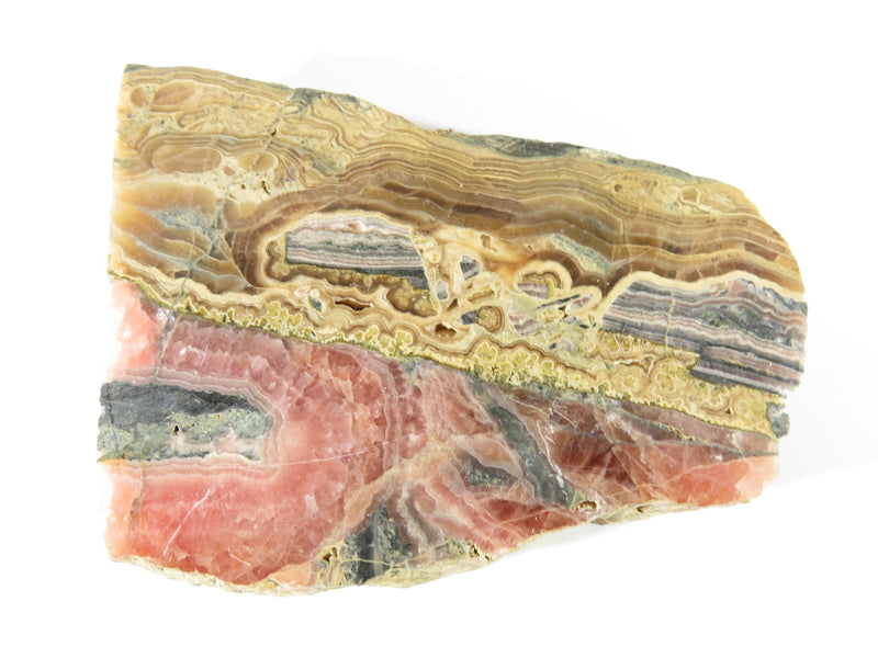 Natural Laguna Agate High Polish Geode Rock Slice 3 3/4" x 2 3/4" x 7/16" - Just Stuff I Sell