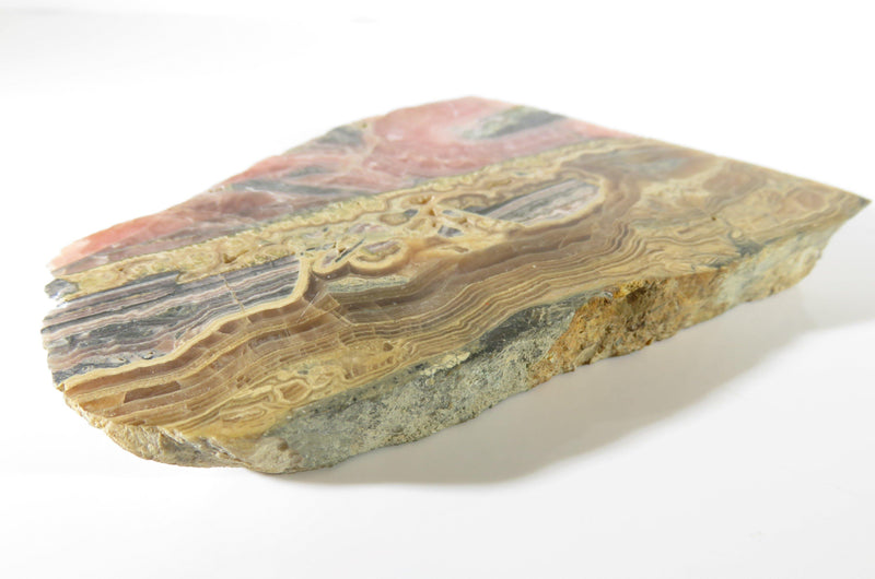 Natural Laguna Agate High Polish Geode Rock Slice 3 3/4" x 2 3/4" x 7/16" - Just Stuff I Sell