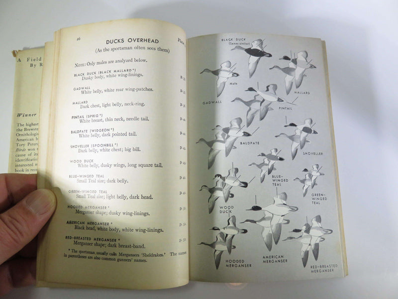 1947 A Field Guide to the Birds Roger Tory Peterson Illustrated Second Revised Ed - Just Stuff I Sell