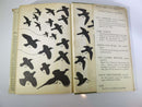 1947 A Field Guide to the Birds Roger Tory Peterson Illustrated Second Revised Ed - Just Stuff I Sell