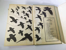 1947 A Field Guide to the Birds Roger Tory Peterson Illustrated Second Revised Ed - Just Stuff I Sell