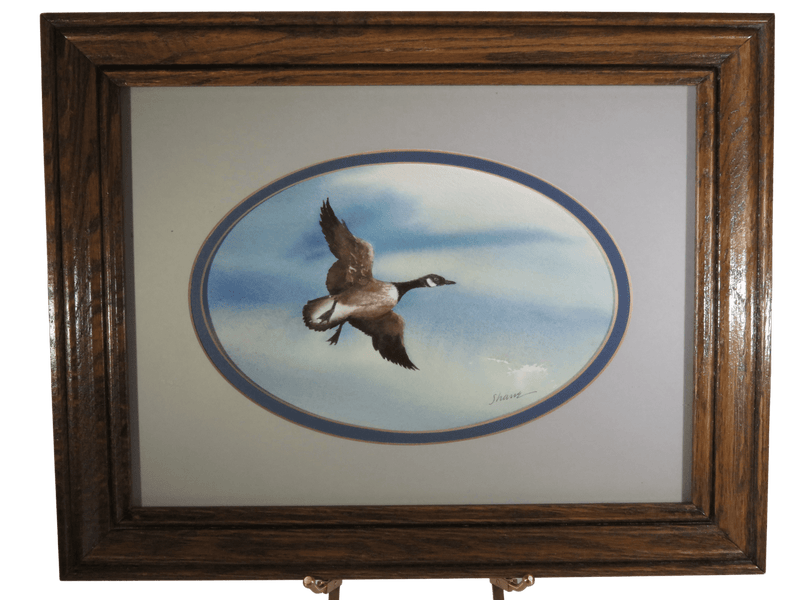 Flying Canadian Goose Original Watercolor by Thomas C Green (Shane) Portsmouth V