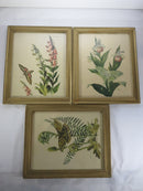 Moth Prints; Sphinx Moth, Polyphemus Moth Lithograph 8 x 10 by Roger Tory Peterson product image for Just Stuff I Sell, clear front view, neutral background, original listing photo, optimized descriptive alt text, centered composition variant 8