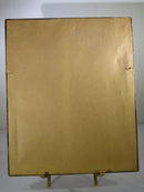 Moth Prints; Sphinx Moth, Polyphemus Moth Lithograph 8 x 10 by Roger Tory Peterson product image for Just Stuff I Sell, clear front view, neutral background, original listing photo, optimized descriptive alt text, centered composition variant 5