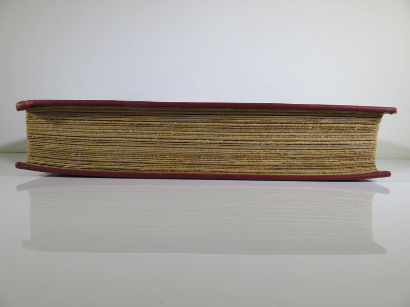 Tower of Ivory A Novel by Gertrude Atherton 1910 The MacMillan Company - Just Stuff I Sell