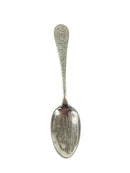 1893 Columbian Expo Worlds Fair City Fisheries Building Collector Spoon — Silver — front view