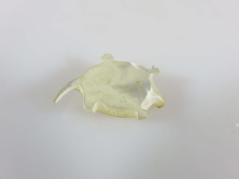 Carved Miniature Turtle High Polished Mother of Pearl Hand Carved Turtle