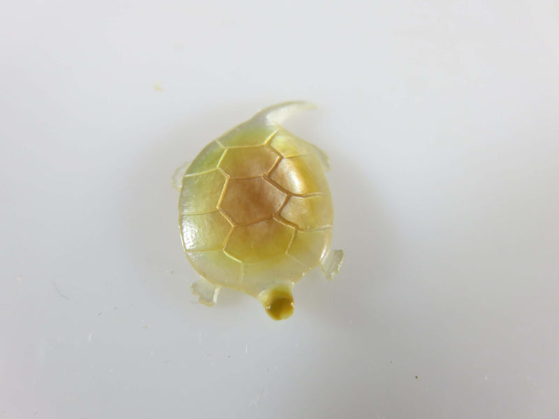 Carved Miniature Turtle High Polished Mother of Pearl Hand Carved Turtle