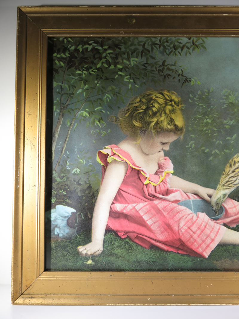 No. 135 A Divided Repast  Child & Chicken Chromolithograph 1901 M L & Co NY - Just Stuff I Sell