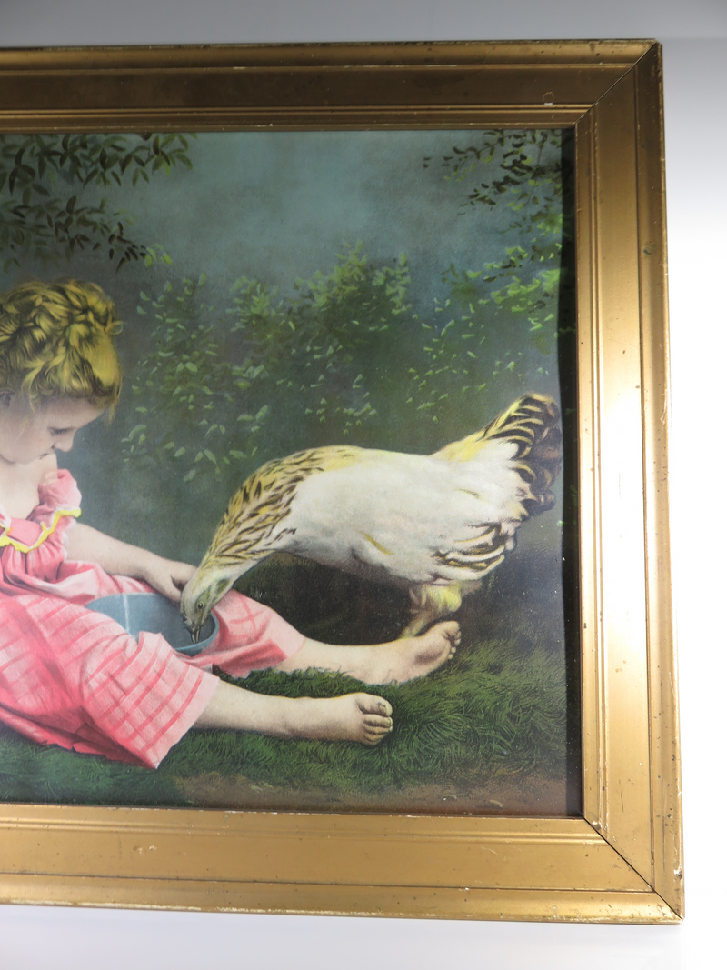 No. 135 A Divided Repast  Child & Chicken Chromolithograph 1901 M L & Co NY - Just Stuff I Sell